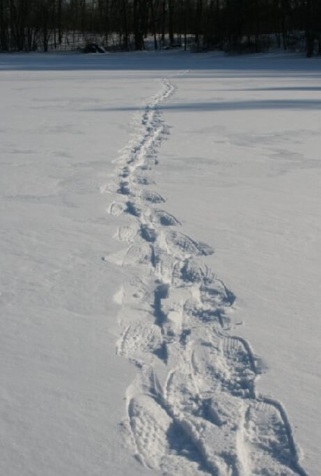 Snowshoeing