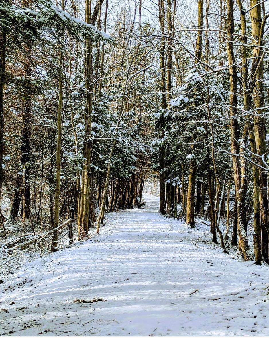 Beaver Lake Nature Center Beaver lake nature center